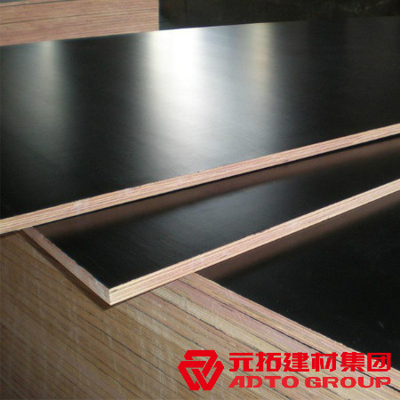 河北建筑木模板多少錢一張？河北木模板價格表？