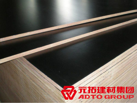 河北建筑木模板生產(chǎn)廠家怎么選購？